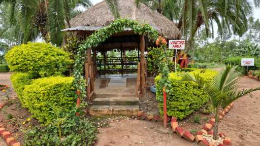 Thatched-roof gazebo with a Visitors Area sign on the farm